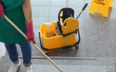 The Advantages of Hiring Commercial Carpet Cleaning in Bloomington