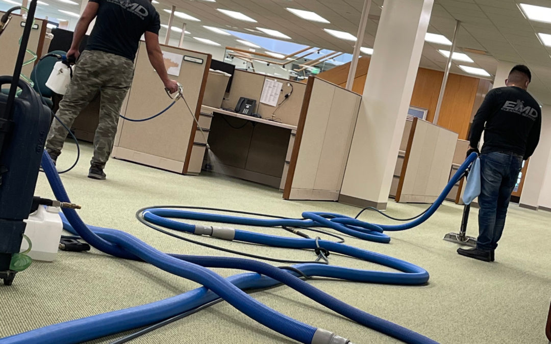 Discover the Amazing Results of Commercial Carpet Cleaning in Minneapolis